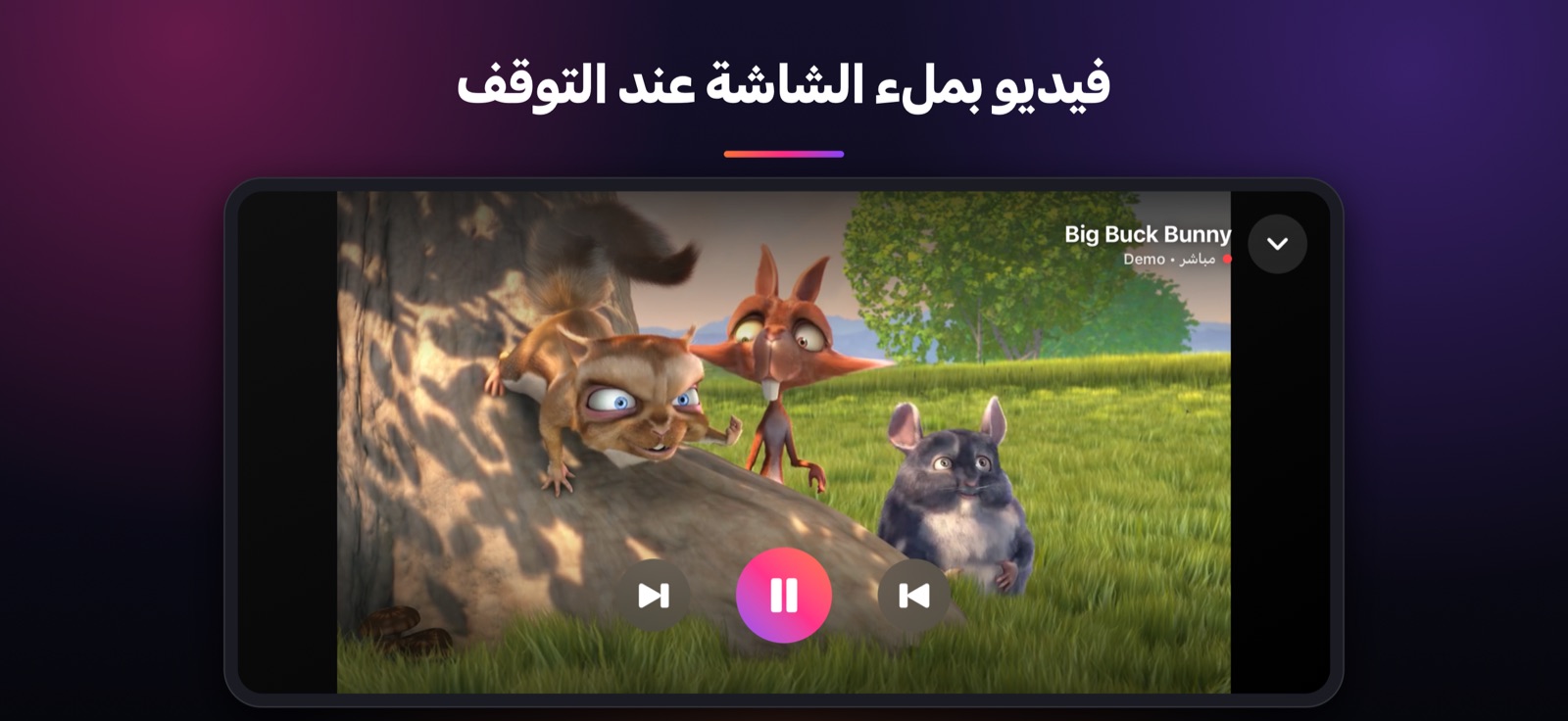 فيديو بملء الشاشة عند التوقف