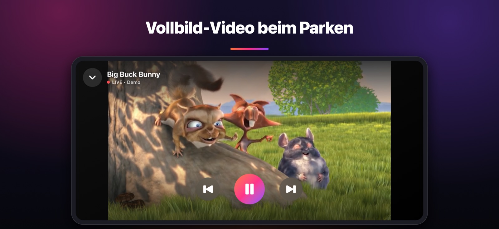 Vollbild-Video beim Parken