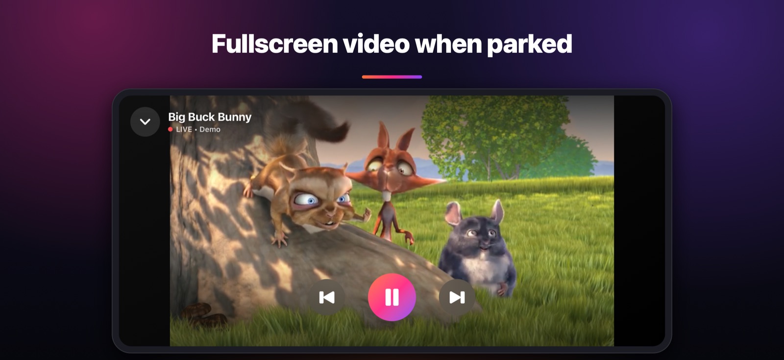 Fullscreen video when parked