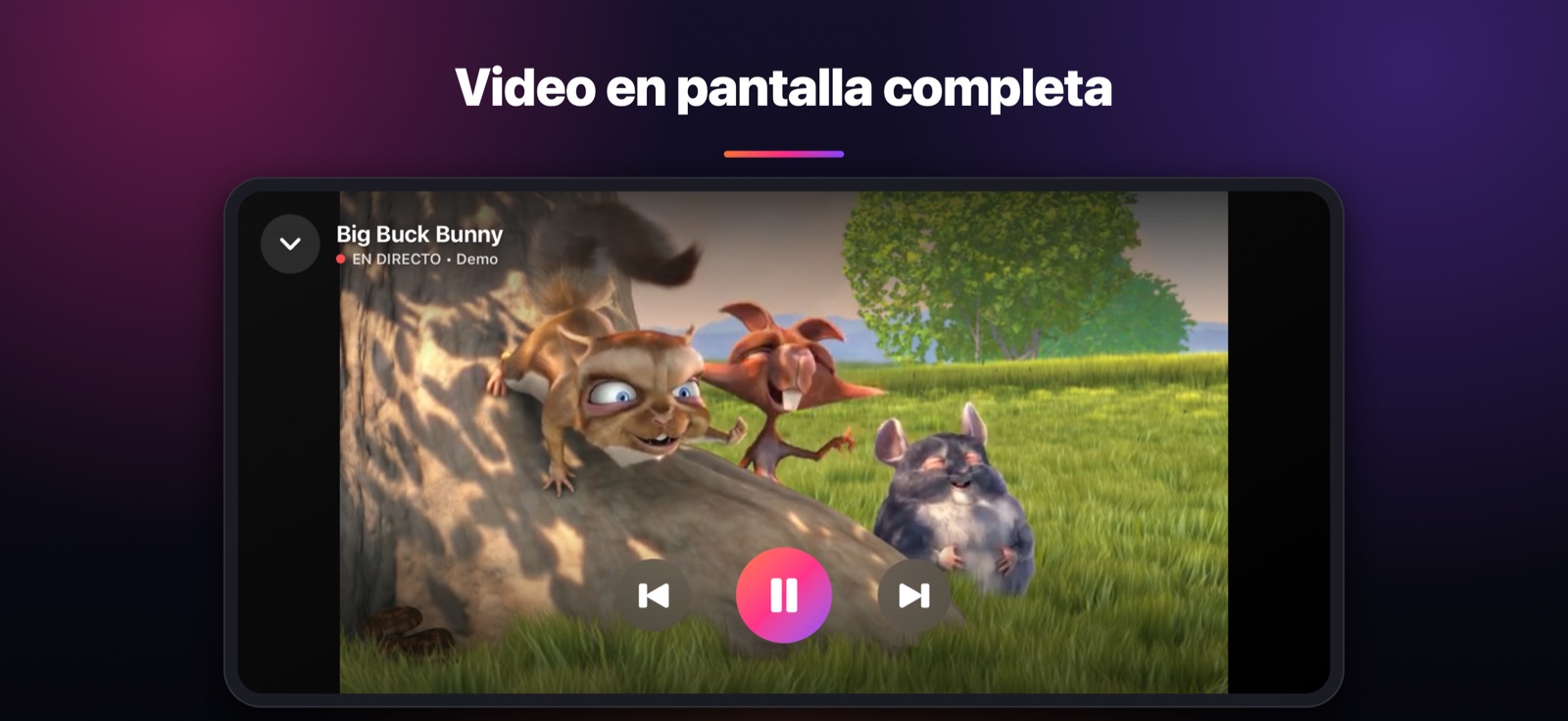 Video en pantalla completa