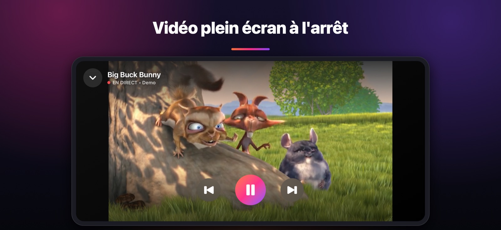 Vidéo plein écran à l'arrêt