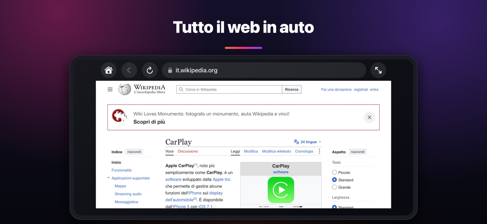 Tutto il web in auto