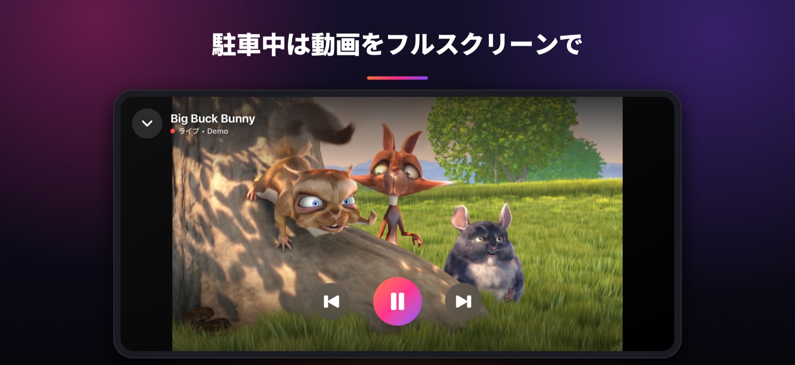 駐車中は動画をフルスクリーンで