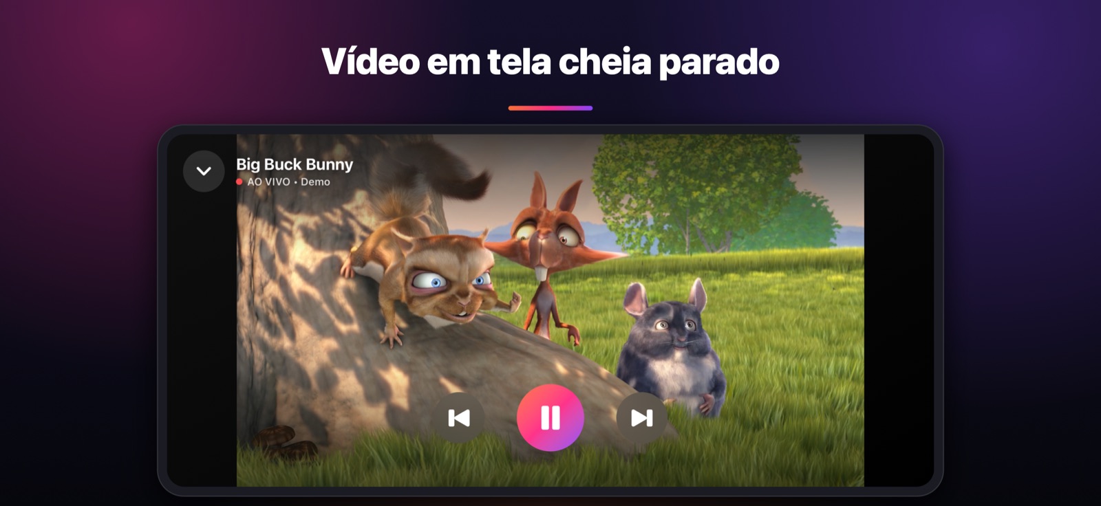 Vídeo em tela cheia parado