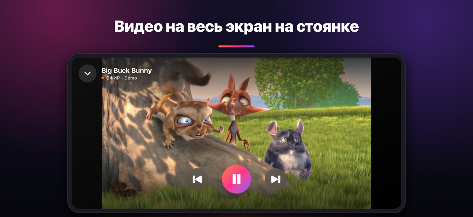 Видео на весь экран на стоянке