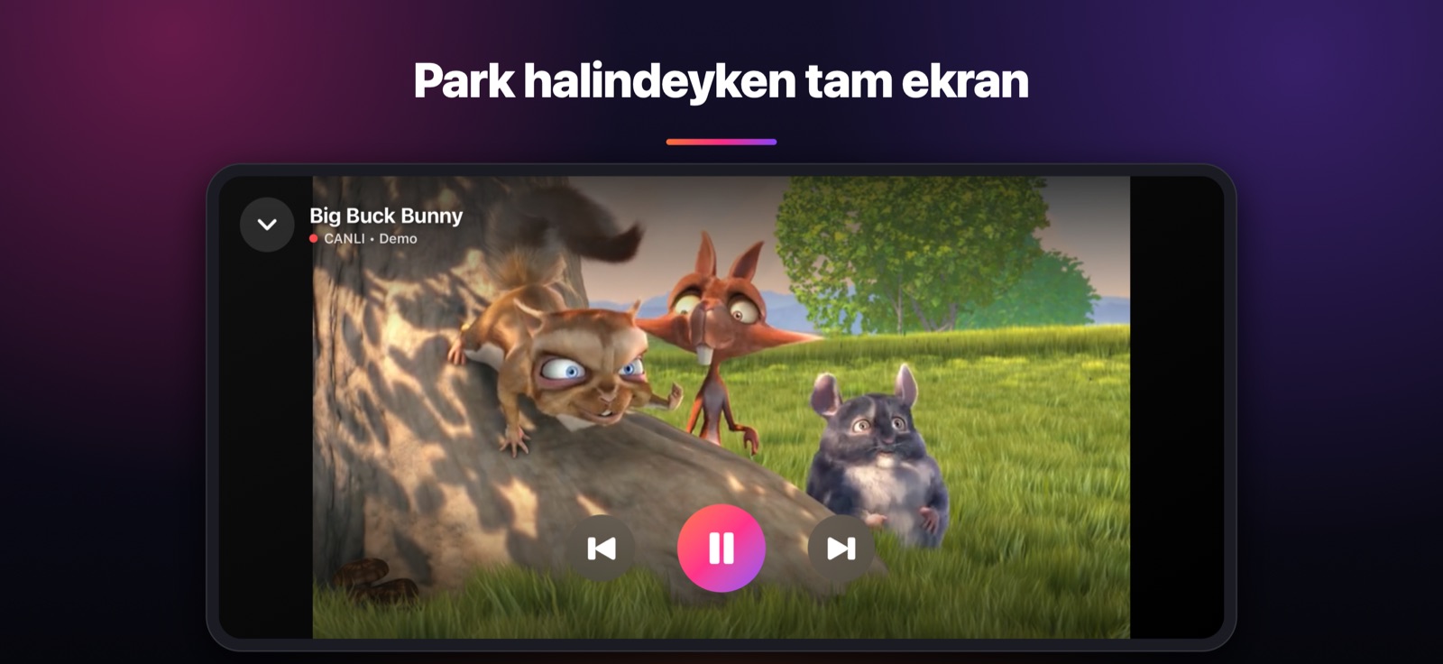 Park halindeyken tam ekran